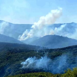 karamurseldeki orman yanginina mudahale suruyor zFfPDjzB