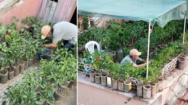 18 metrekarelik terasini 200 fideyle bahceye cevirdi 8 saatini burada harciyor NUxj3SOF