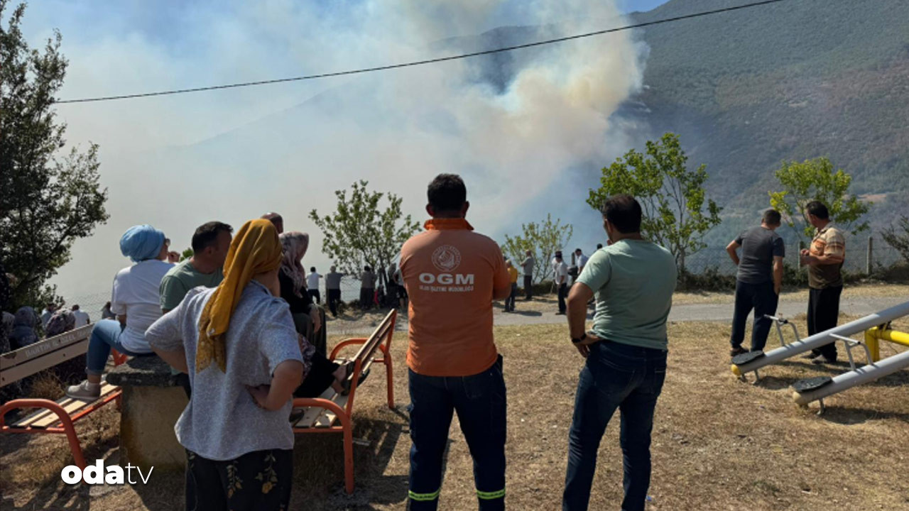 bartinda orman yangini kX2d6C96