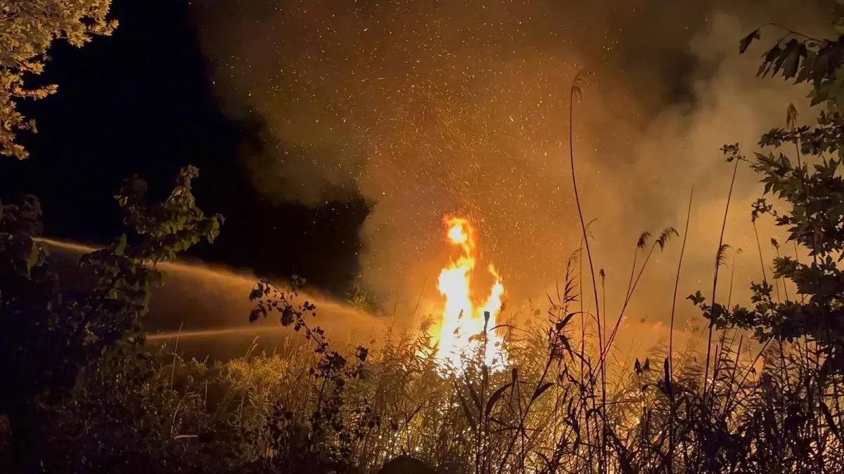 iznikte sazlik yangini kontrol altina alindi DW19leVK