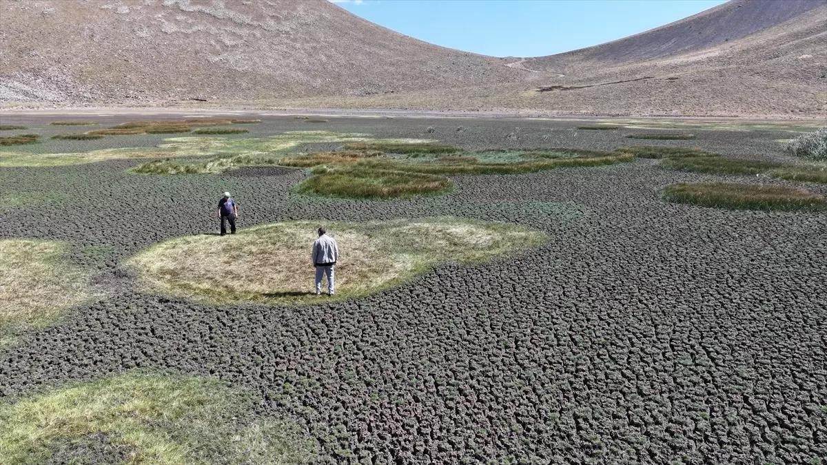 sarigol kurudu doga harikasi yok oluyor fWuOsNc5