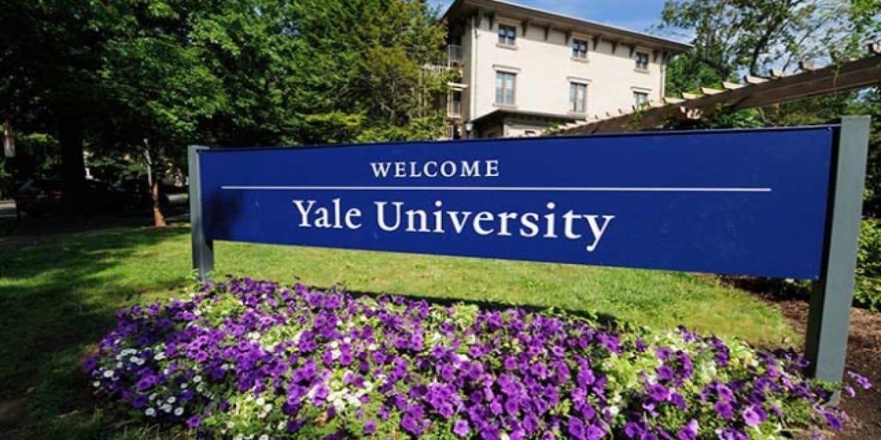 yale universitesinden israilin gazze isgalini destekleyen skandal adim kX1tku5Z