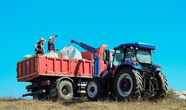 1140 dekarlik alanda biberiye zamani l5VtdjXB