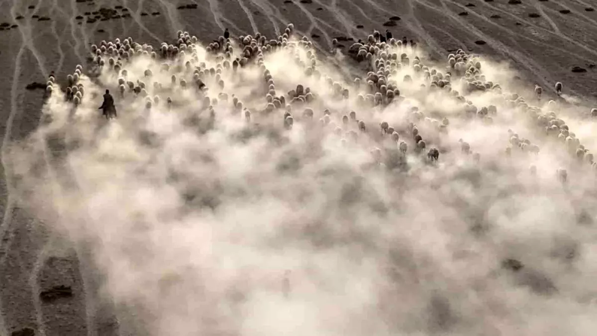 karapinarda koyunlarin gorsel soleni B6uecdqd.jpg